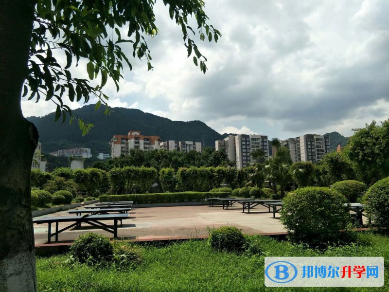 重慶市木洞中學2021年報名條件、招生要求、招生對象 