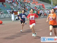 云南省楚雄東興中學網站網址主頁