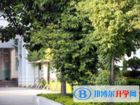 華坪縣一中網站網址主頁