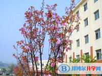 遵義清華中學(xué)2025年學(xué)費、收費多少