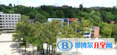 重慶市萬州區(qū)分水中學網(wǎng)站網(wǎng)址
