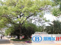 通海縣第三中學2021年招生簡章