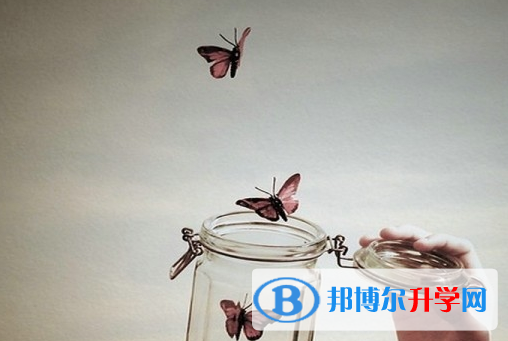2021年渭南近年中考重點線