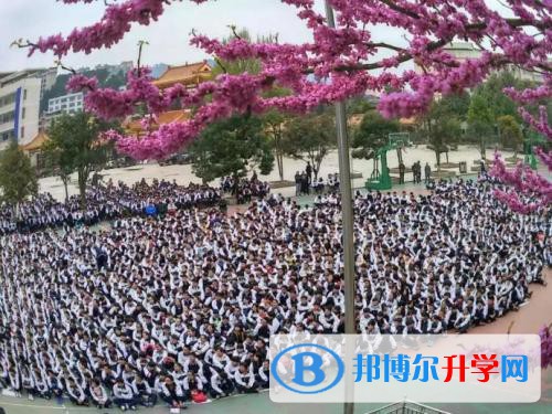 開陽縣第三中學網站網址是多少呢?對于同學們來說找到一個好的學校就是一個好的開始，就是成功了一大半，很多的同學們對于學校其實都是不了解的，所以，在找學校的時候都是先查詢學校的網址，小編來給同學們整理一下。  開陽縣第三中學網站網址 開陽縣第三中學網站網址：http://www.ycfxy168.com/ukyxdszx/  開陽縣第三中學情況 辦學思想  該校辦“人民滿意的教育”、辦“人民受益的教育”的辦學理念得到認同，五優(教學設備優良、育人環境優美、學校管理優質、師資隊伍優秀、教學質量優異)三心(學生歡心、家長開心、領導放心)辦學目標得以實現，五會(學會做人、學會求知、學會生存、學會合作、學會發展)的育人目標完全達成。形成了團結、嚴謹、求實、奮進的校訓;形成了團結和諧、爭先創優的校風;形成了勤政、廉政、高效、創新的政風;形成了嚴謹、求實、開拓、創新的教風;形成了尊師愛校、品學兼優的學風。  基礎設施  學校占地35畝，學校現有一教、二教、內置設施一流的綜合教學大樓和實驗大樓及行政辦公大樓;有三個籃球場、一個室內體育室及正籌建中的后操場(含400m環形塑膠跑道);有資源豐富的多功能教室、圖書室、閱覽室、計算機教室。實施義務教育以來，學校辦學條件不斷改善。  學校現有三棟教學樓，一棟實驗樓，一棟教師辦公樓;有三個籃球場、有多功能教室兩間、圖書室一間(有圖書66560冊)、閱覽室一間、計算機教室兩間。學校已充分發揮它們的功能，全面提高教育教學質量。學校得到市縣政府支持，規劃待建寄宿制工程：250m環形塑膠跑道、學生宿舍、學生食堂，學校辦學條件將得到極大改善。  學校政策  2006年以來從農部分村學生享受“兩免一補”到2008年秋季全部享受“兩免一補”，使學生受教育得到普惠保障。  我們知道同學們自己在找學校的時候就習慣在網站上面去查詢資料，但是由于學校的網站的資料是很多的，小編覺得最好還是到學校來現場了解會比較好一點，現場了解的是更為詳細的哦。