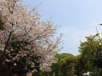 江川縣第一中學2025年排名