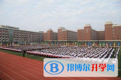綿陽市東辰國際學校網站網址 