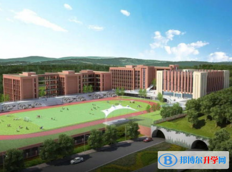 重慶市禮嘉中學(xué)校2021年招生錄取分?jǐn)?shù)線