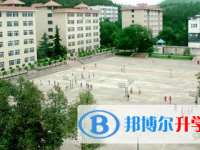 四川省南部縣大坪中學2025年招生代碼