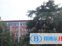 巫山縣官渡中學(xué)網(wǎng)站網(wǎng)址主頁