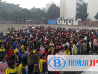眉山市東坡區多悅高級中學2025年招生計劃