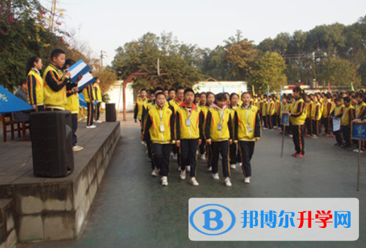 樂至至寶林中學(xué)網(wǎng)站網(wǎng)址 