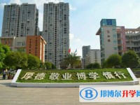 巴州區(qū)第四中學2025年招生代碼