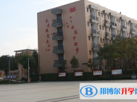攀枝花市第十五中學網(wǎng)站網(wǎng)址主頁