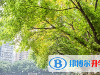 華寧縣第一中學2025年招生簡章