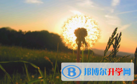 2021年渭南中考報名號