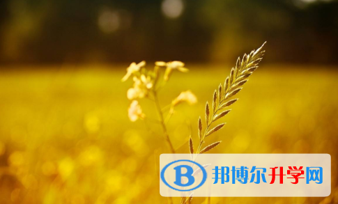 2021年渭南中考報考人數