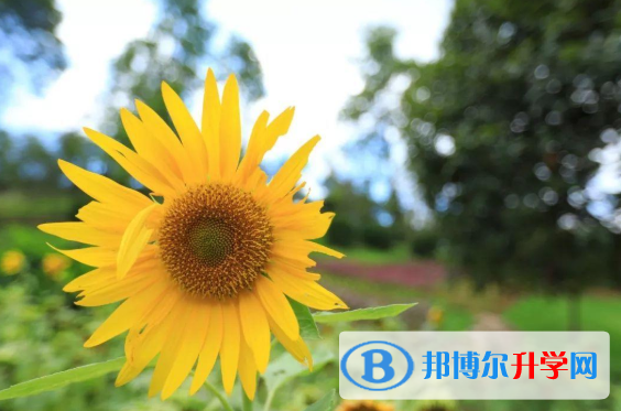 2021年廣元中考咨詢熱線電話號碼