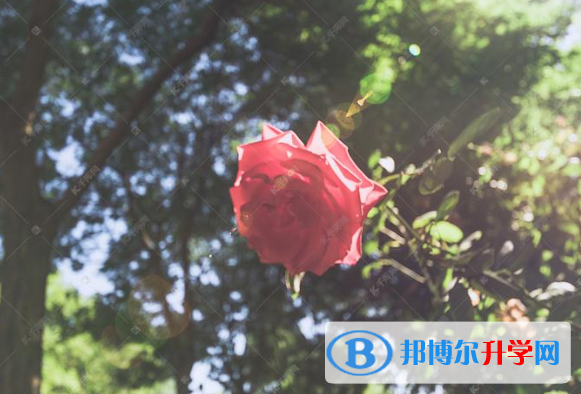 2021年廣元中考網上模擬報名