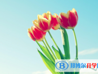2021年廣元中考網錄取系統