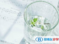 2021年攀枝花查詢中考成績