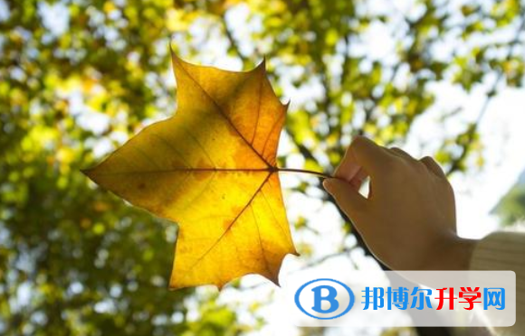 2021年攀枝花中考報名網