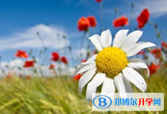 2021年攀枝花中考報名網(wǎng)站