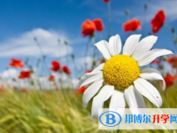 2021年攀枝花中考報名網站