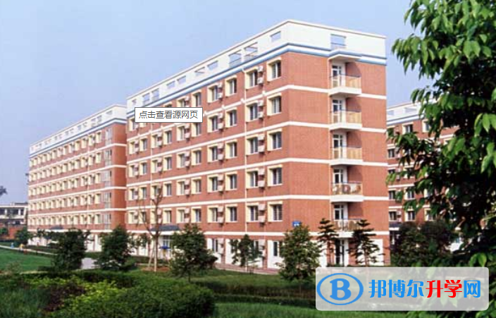 成都美視國際學(xué)校2021年學(xué)費、收費多少