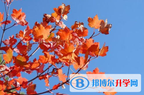 2021年渭南中考報(bào)名網(wǎng)站