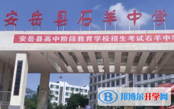 安岳縣石羊中學網站網址 