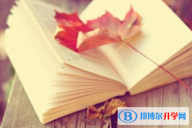 重慶中考志愿可以填幾個
