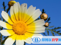 2021年咸陽中考落榜的出路