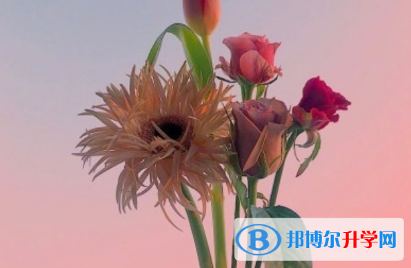 2021年咸陽中考準考證丟了怎么辦