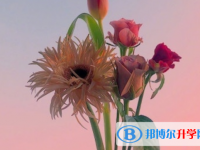 2021年咸陽中考準考證丟了怎么辦