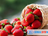 2021年咸陽中考有不有補錄