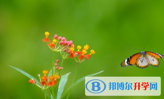 2021渭南中考查詢電話