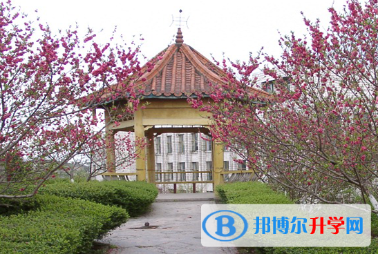 四川省樂至中學(xué)2022年報名條件、招生要求、招生對象