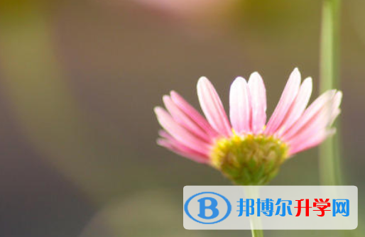 2021年渭南中考成績查詢時間