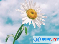 2021年咸陽中考是多久