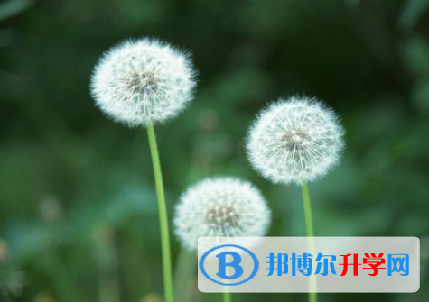 2021年渭南中考查詢系統的密碼記不到了怎么辦