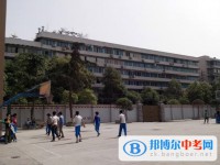四川省成都西藏中學2025年招生代碼