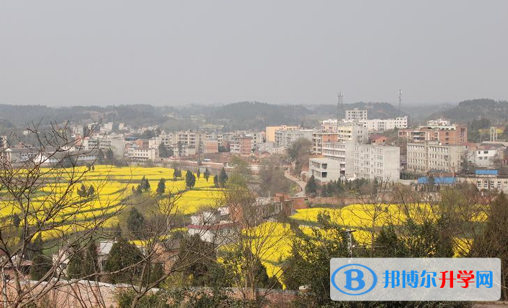 仁壽縣龍馬中學(xué)2022年學(xué)費、收費多少