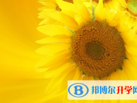 成都中考沒有被學(xué)校錄取咋辦