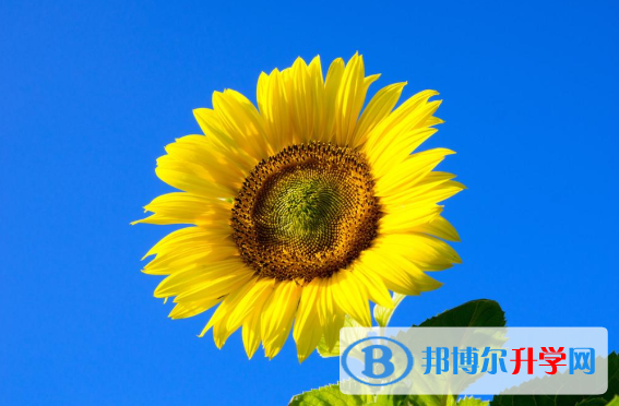 2021年咸陽中考是否有高價生