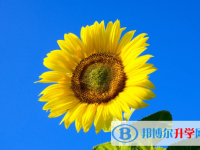 2021年咸陽中考是否有高價生