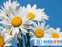 2021年咸陽中考是什么