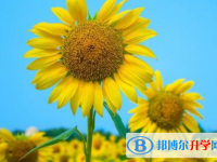 2021年咸陽中考是什么時候