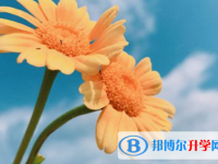 2021年咸陽中考失利怎么辦