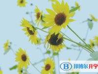 成都中考報名網址