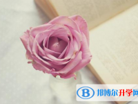 成都中考調劑志愿是什么意思